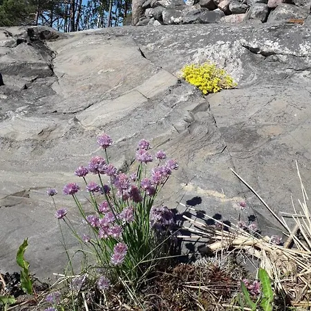 Velkuanmaa Lomamoekki Naantali