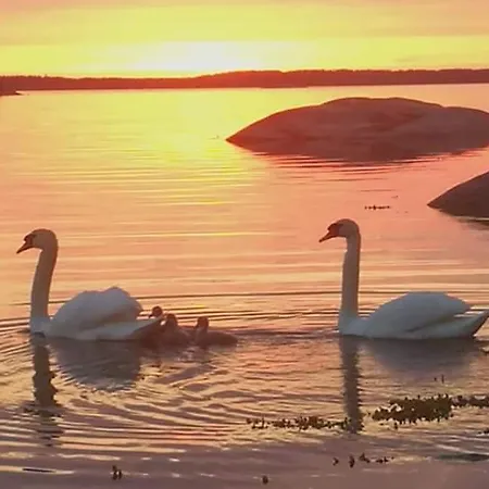 Velkuanmaa Lomamoekki Domek alpejski