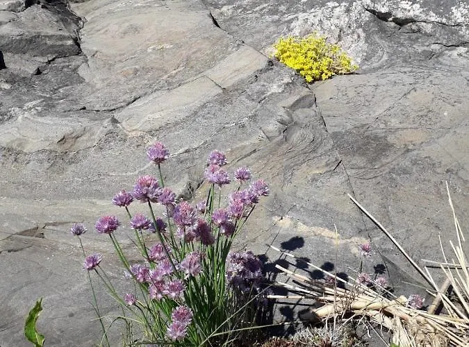 Velkuanmaa Lomamoekki Nådendal