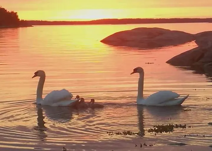 Velkuanmaa Lomamoekki Horská chata